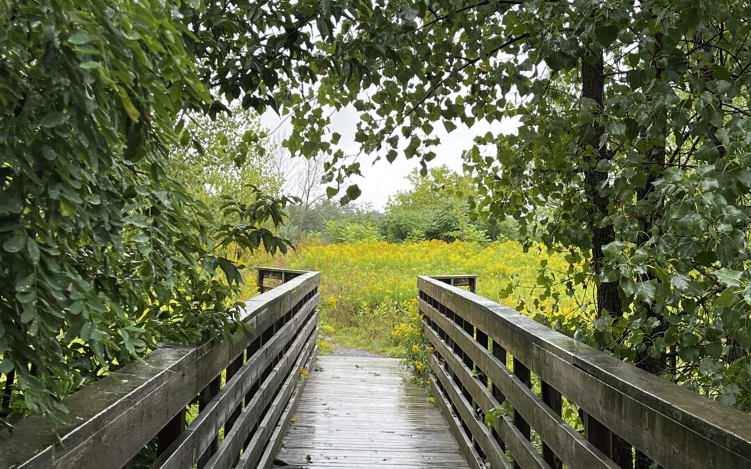 La Ville de Saint-Hyacinthe va aménager un parc nature sur les terres des Sœurs de la Charité