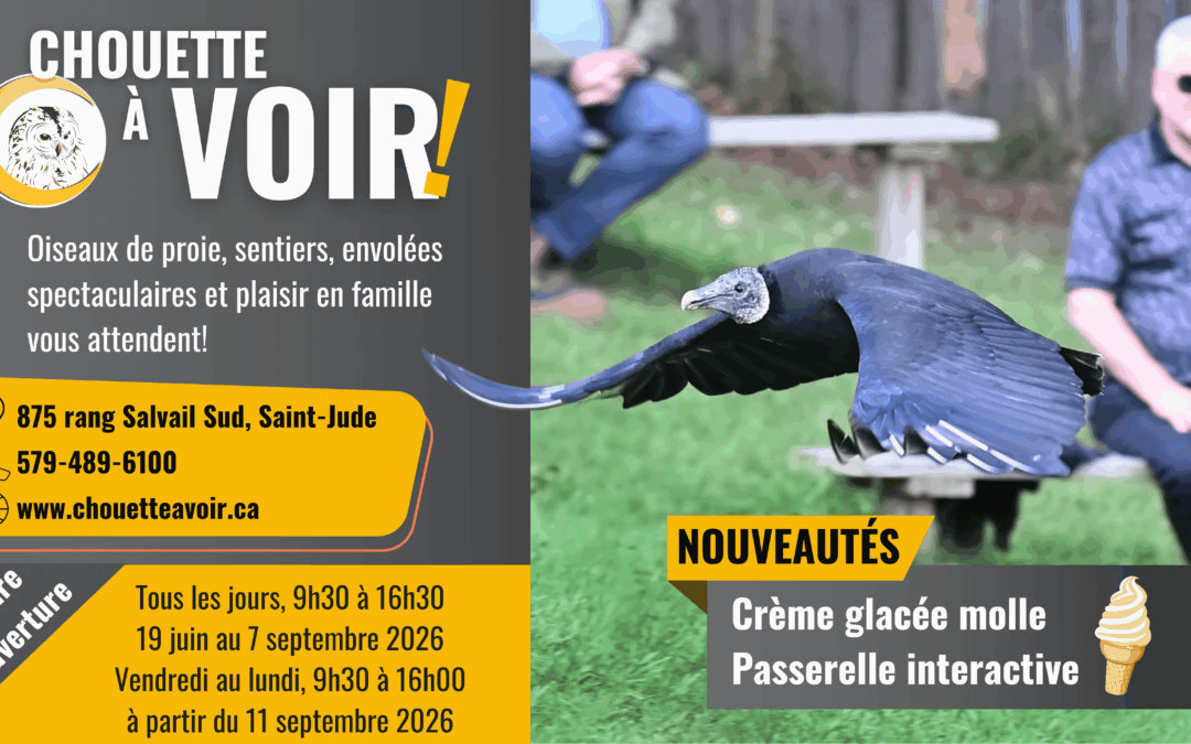 Chouette à voir! : une expérience unique maintenant offerte à l&rsquo;année