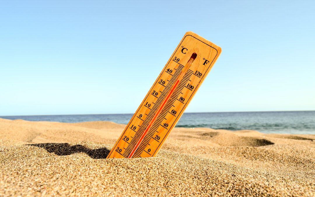 Un été aux Îles Maska